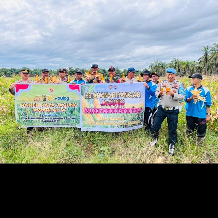 PANEN RAYA JAGUNG KETAHANAN PANGAN KWARTAL IV DESA BANGUN, KECAMATAN PULAU RAKYAT-ASAHAN